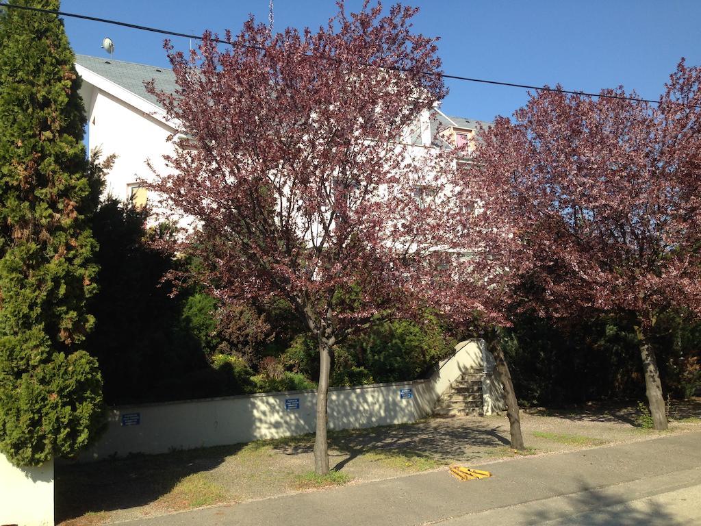 Belle Fleur Panzio Bed & Breakfast Budapest Exterior photo